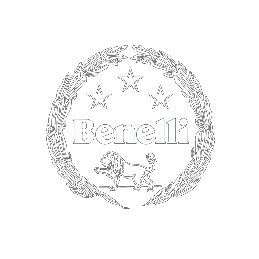 rimappatura centralina moto Benelli BN logo