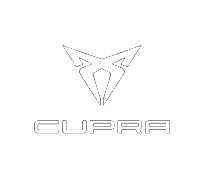 rimappatura centralina auto Cupra FORMENTOR logo