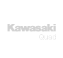 rimappatura centralina quad Kawasaki quad Teryx logo