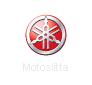 rimappatura centralina motoslitta Motoslitta yamaha RX1GT logo