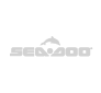 rimappatura centralina acquascooter Seadoo jetscooter RXP logo