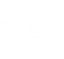 rimappatura centralina moto Triumph DAYTONA logo